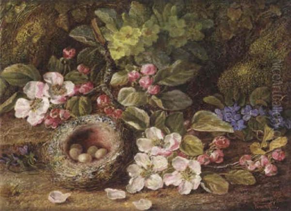 Still Life With Blossom And A Bird's Nest Oil Painting by Vincent Clare