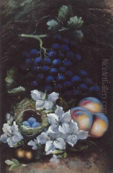 Still Life With Fruit, Flowers And Bird's Nest Oil Painting by Vincent Clare