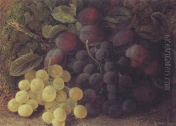 Still Life Of Grapes And Plums by Vincent Clare