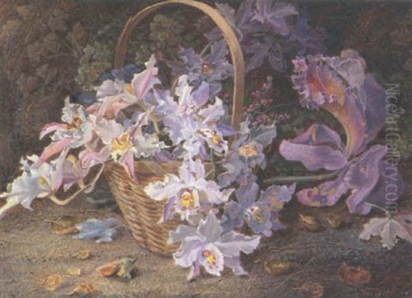 Still Life Of Orchids In A Basket Oil Painting by Vincent Clare