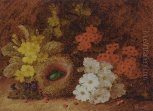 Primroses, Primulas, And Violets With A Bird's Nest, On A Mossy Bank Oil Painting by Vincent Clare