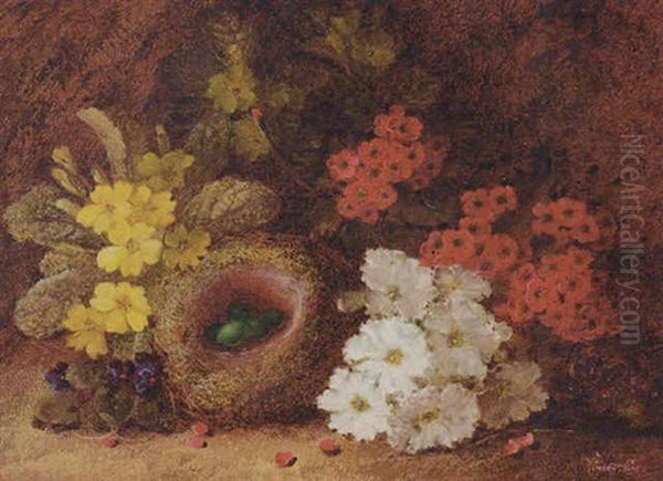 Primroses, Primulas And Violets With A Bird's Nest, On A Mossy Bank Oil Painting by Vincent Clare