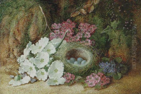 Primroses, Blossom And A Bird's Nest Oil Painting by Vincent Clare