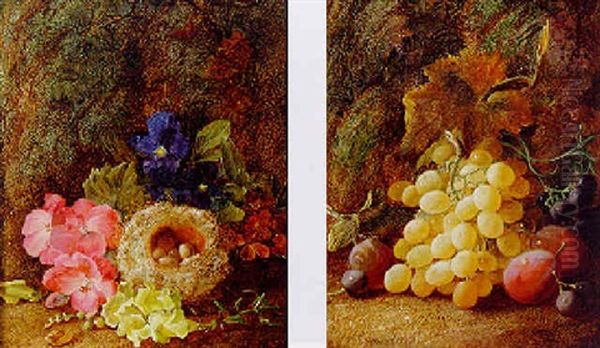 Violas, Antirrhinum, Wallflowers And A Bird Nest Oil Painting by Vincent Clare