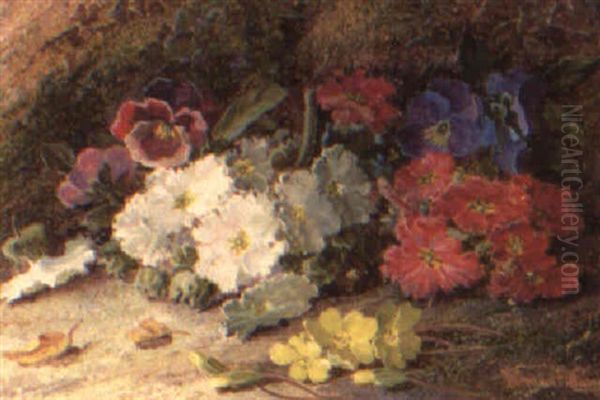 Spring Flowers by Vincent Clare