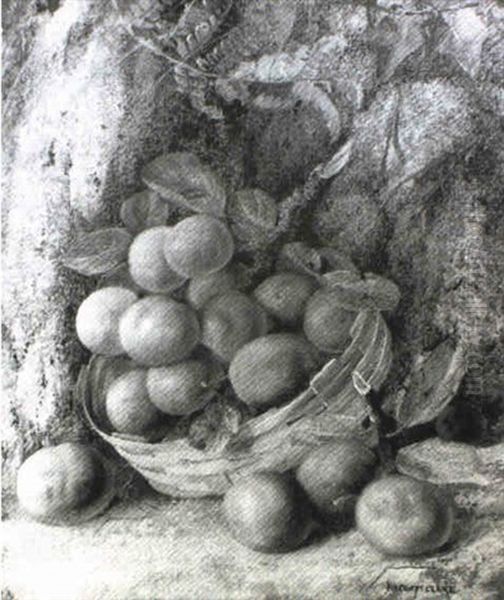 Still Life Of Plums In A Basket Oil Painting by Vincent Clare