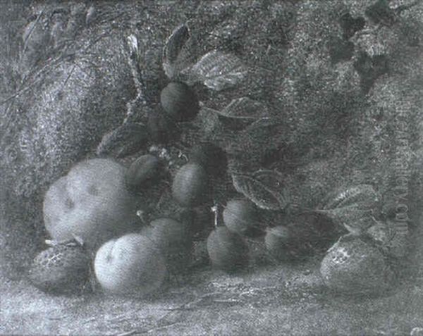 Still Life Study Of Grapes, Gooseberries, A Peach And       Strawberries Oil Painting by Vincent Clare