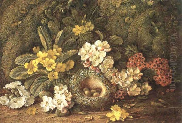 Still Life Of Primroses And Other Flowers With A Bird's     Nest Oil Painting by Vincent Clare