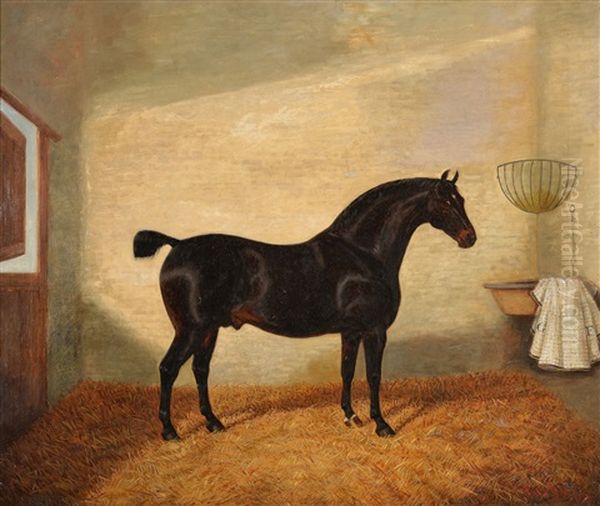 A Bay Hunter In A Stable; A Dark Bay Hunter In A Stable Oil Painting by Albert Clark