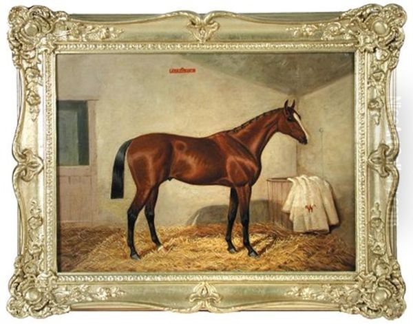 The Racehorse 