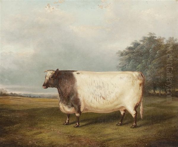 Bull In A Landscape Oil Painting by Albert Clark