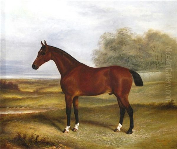 Saucy Boy, A Hunter In A Landscape Oil Painting by Albert Clark