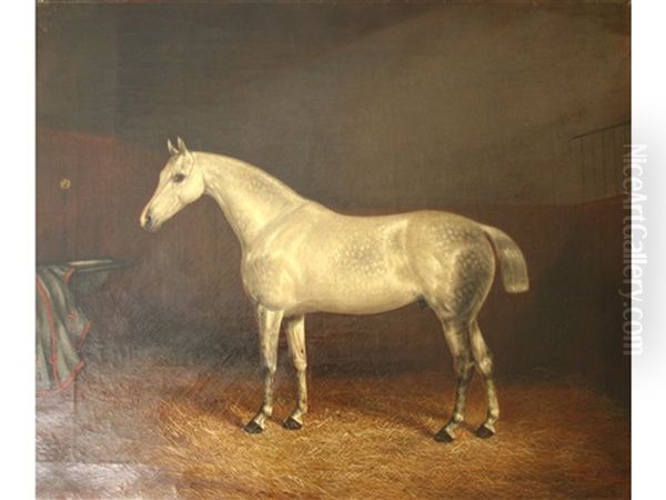 A Grey Horse In A Loose Box (pair) Oil Painting by Albert Clark