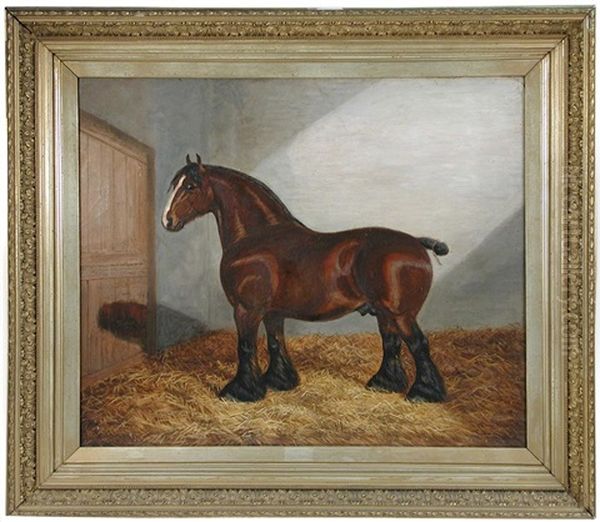 Portrait Of A Dark Bay Shire In A Stable Oil Painting by Albert Clark