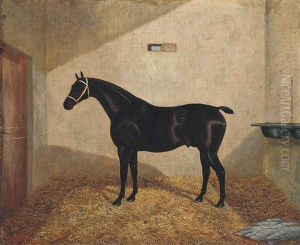 A Chestnut Hunter In A Stable Oil Painting by Albert Clark