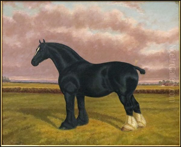 Shire Horse In Field Oil Painting by Albert Clark