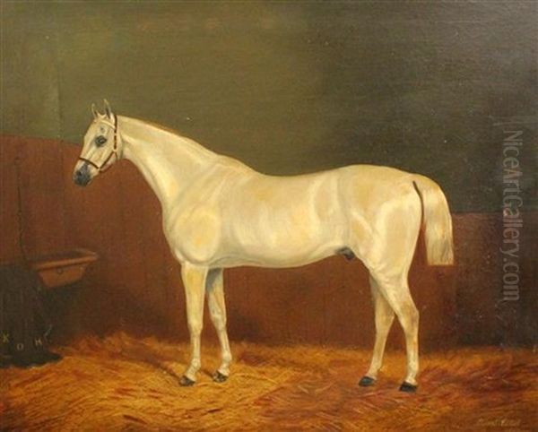 White Horse In A Stable Oil Painting by Albert Clark