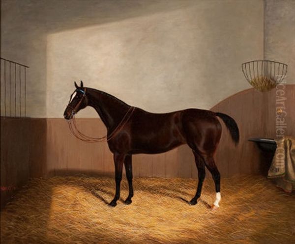 Race Horse Oil Painting by Albert Clark