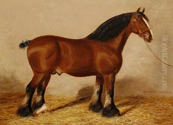 Buscot Harold In A Stable (+ A Portrait Of A Grey In A Stable; Pair) Oil Painting by Albert Clark