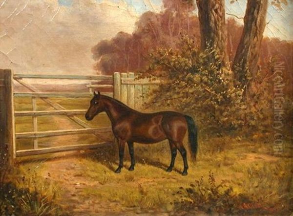 A Dark Bay Shetland Pony By A Field Gate Oil Painting by Albert Clark