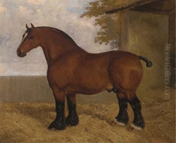 The Shire Stallion Oil Painting by Albert Clark