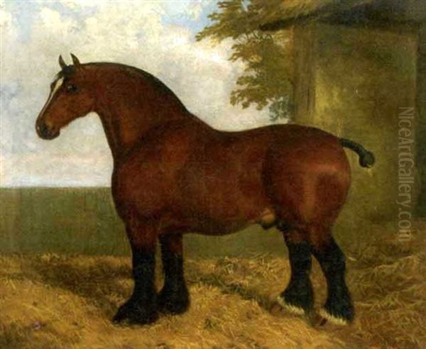 Honest Tom, A Shire Stallion Oil Painting by Albert Clark