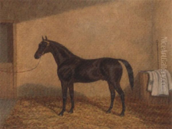 A Bay Racehorse In A Stable Oil Painting by Albert Clark