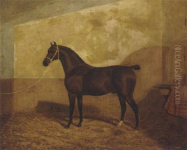 A Tethered Brown Hunter In A Stable Oil Painting by Albert Clark