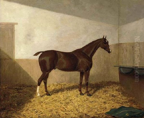 A Dark Brown Hunter In A Stable Oil Painting by Albert Clark