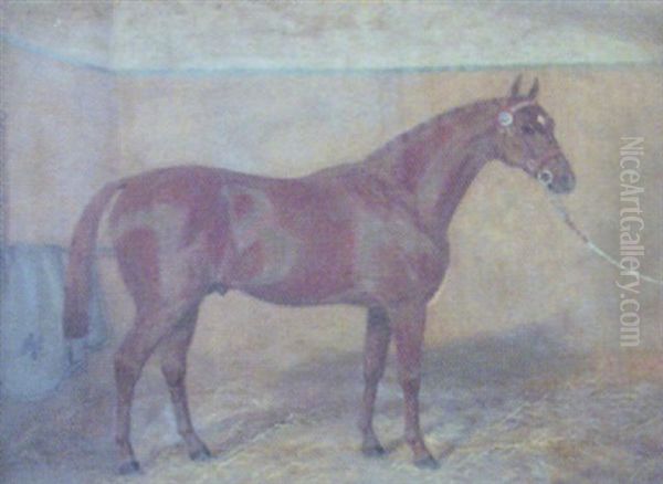 Chestnut Mare In A Stable Oil Painting by Albert Clark