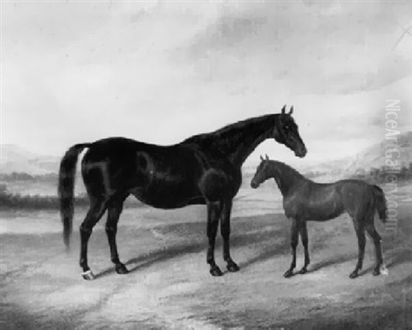 Dark Bay Mare With A Foal In A Landscape Oil Painting by Albert Clark