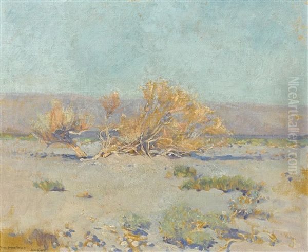 Desert Willows by Alson Skinner Clark