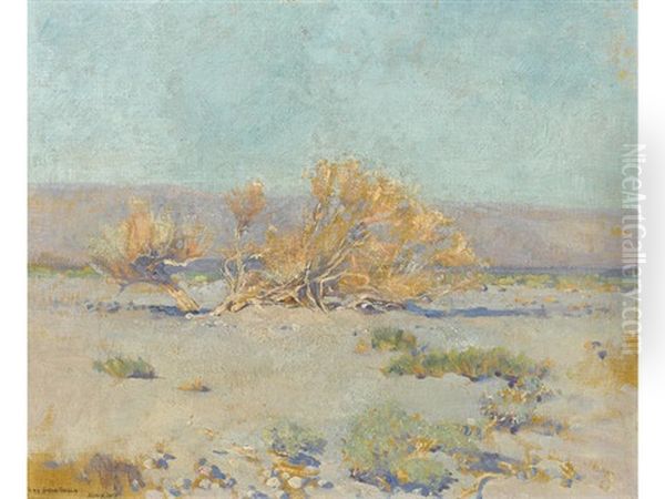 Desert Willows Oil Painting by Alson Skinner Clark