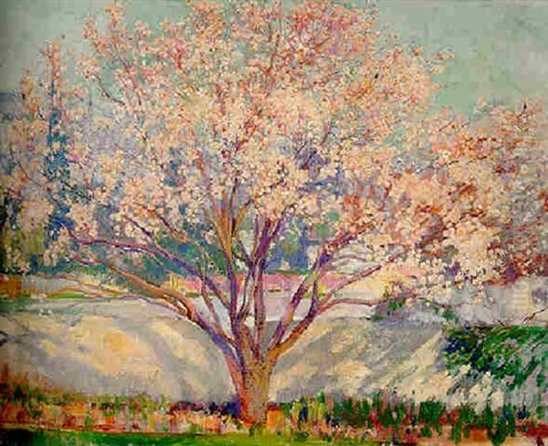 Almond Tree In Bloom Oil Painting by Alson Skinner Clark