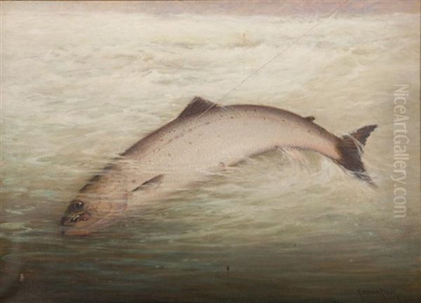 Salmon On A Line Oil Painting by C. Myron Clark