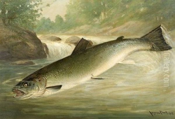 Trout Oil Painting by C. Myron Clark