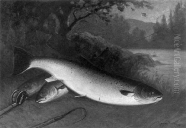 The Day's Catch, A Still Life With Trout And Rod Oil Painting by C. Myron Clark