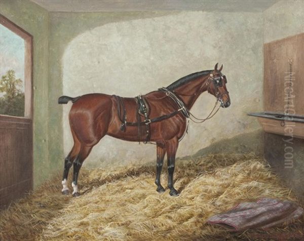 A Bay Horse In A Stable Oil Painting by Frederick Albert Clark