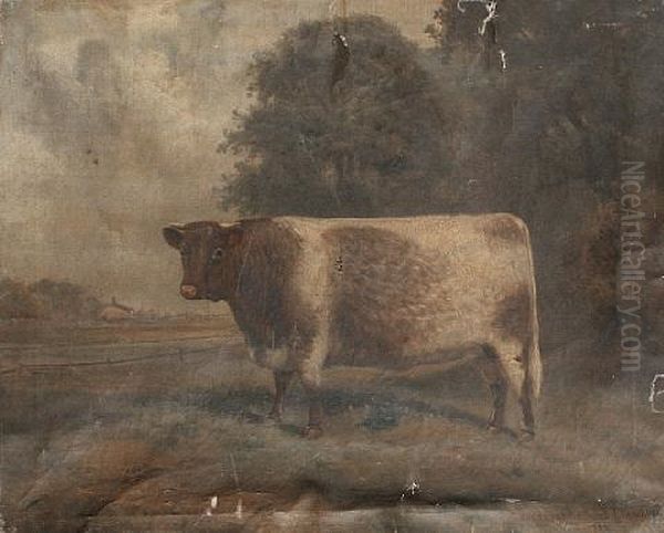 A Shorthorn Bull Standing Before A Farm Oil Painting by Frederick Albert Clark