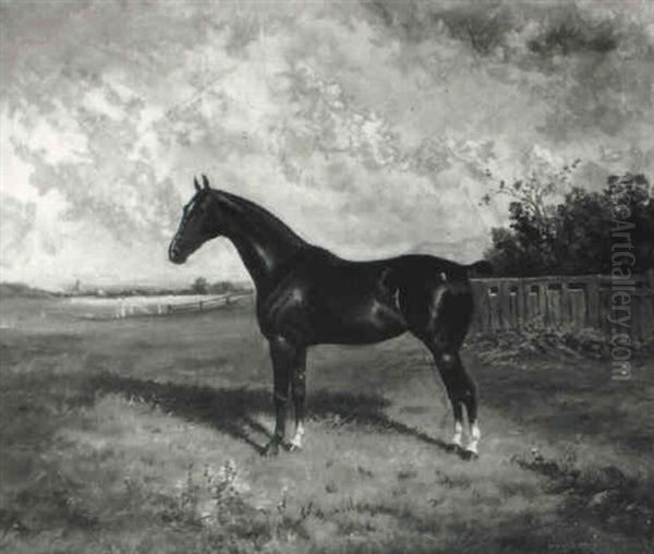 Cudham Marjorie, A Dark Bay Hackney Horse Standing In A Landscape Oil Painting by Frederick Albert Clark