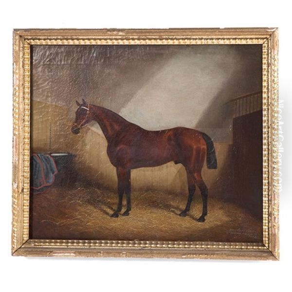 Horse In Stable Oil Painting by James Clark