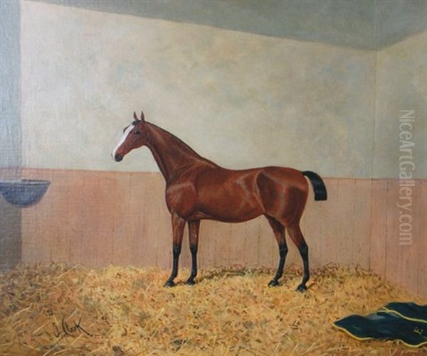 Chestnut Hunter In A Stable Oil Painting by James Clark