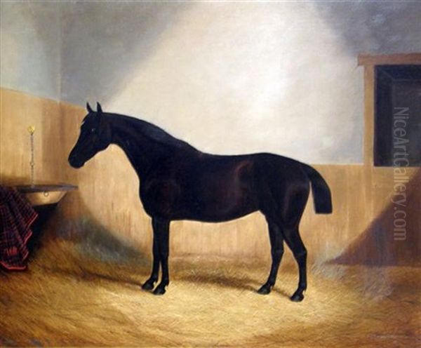 Bay Horse In A Stable (study) Oil Painting by James Clark