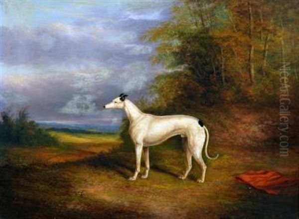 Portrait Of The Greyhound Oil Painting by James Clark