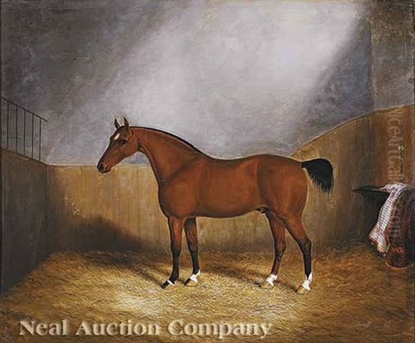 A Bay Hunter In His Stall Oil Painting by James Clark