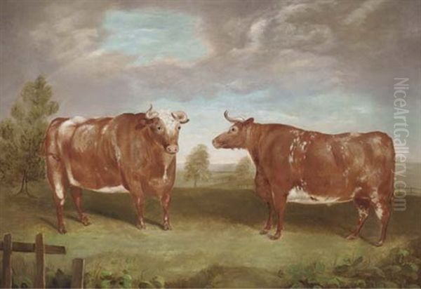 Two Prize Bulls In A Field by James Clark