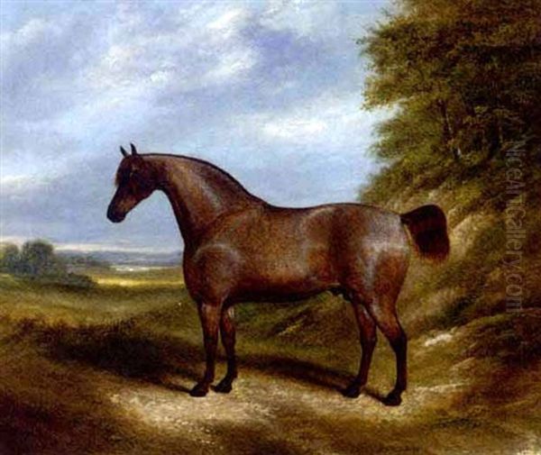 A Red Roan Horse In An Landscape Oil Painting by James Clark