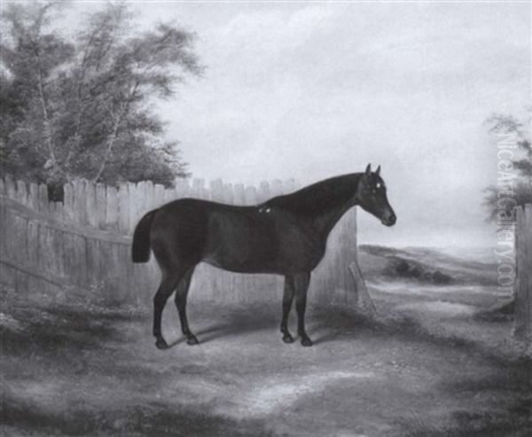 Hunter Before A Fence Oil Painting by James Clark