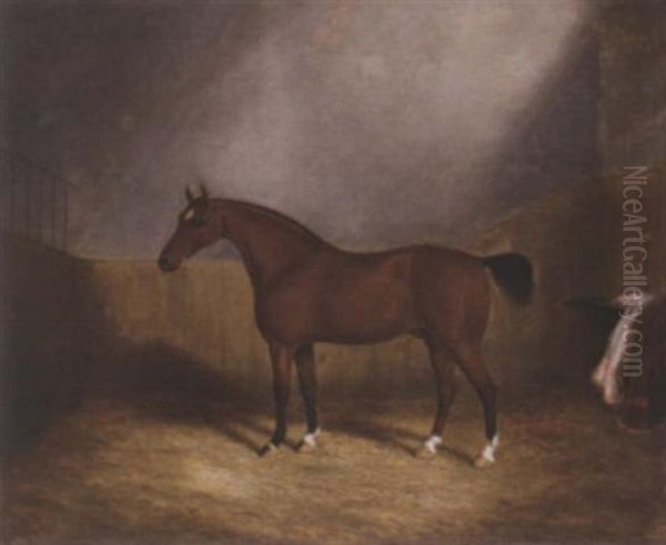 A Chestnut Hunter In A Stable Oil Painting by James Clark