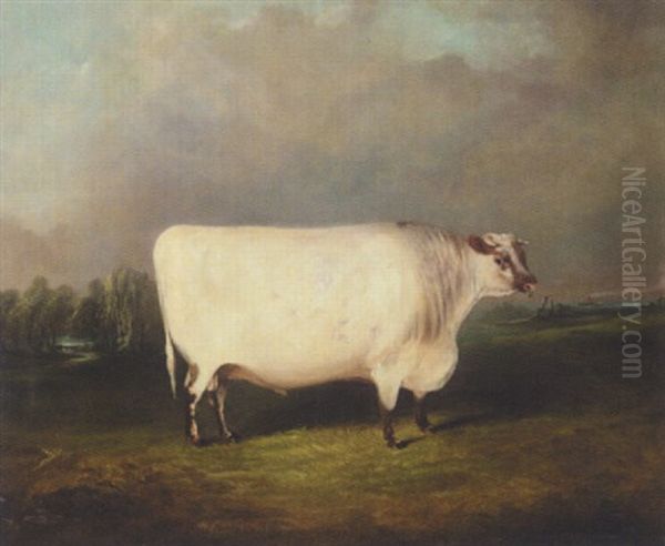 A Prize Shorthorn In A Landscape Oil Painting by James Clark